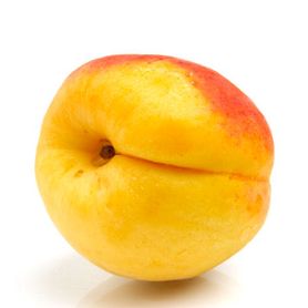 Abrikoos