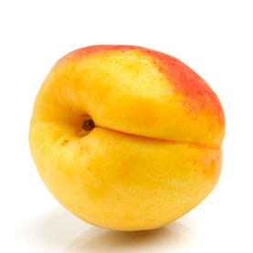 Abrikoos